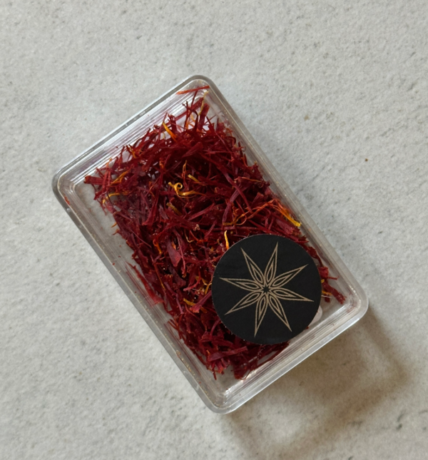 Šafranas Negin (1 klasė)